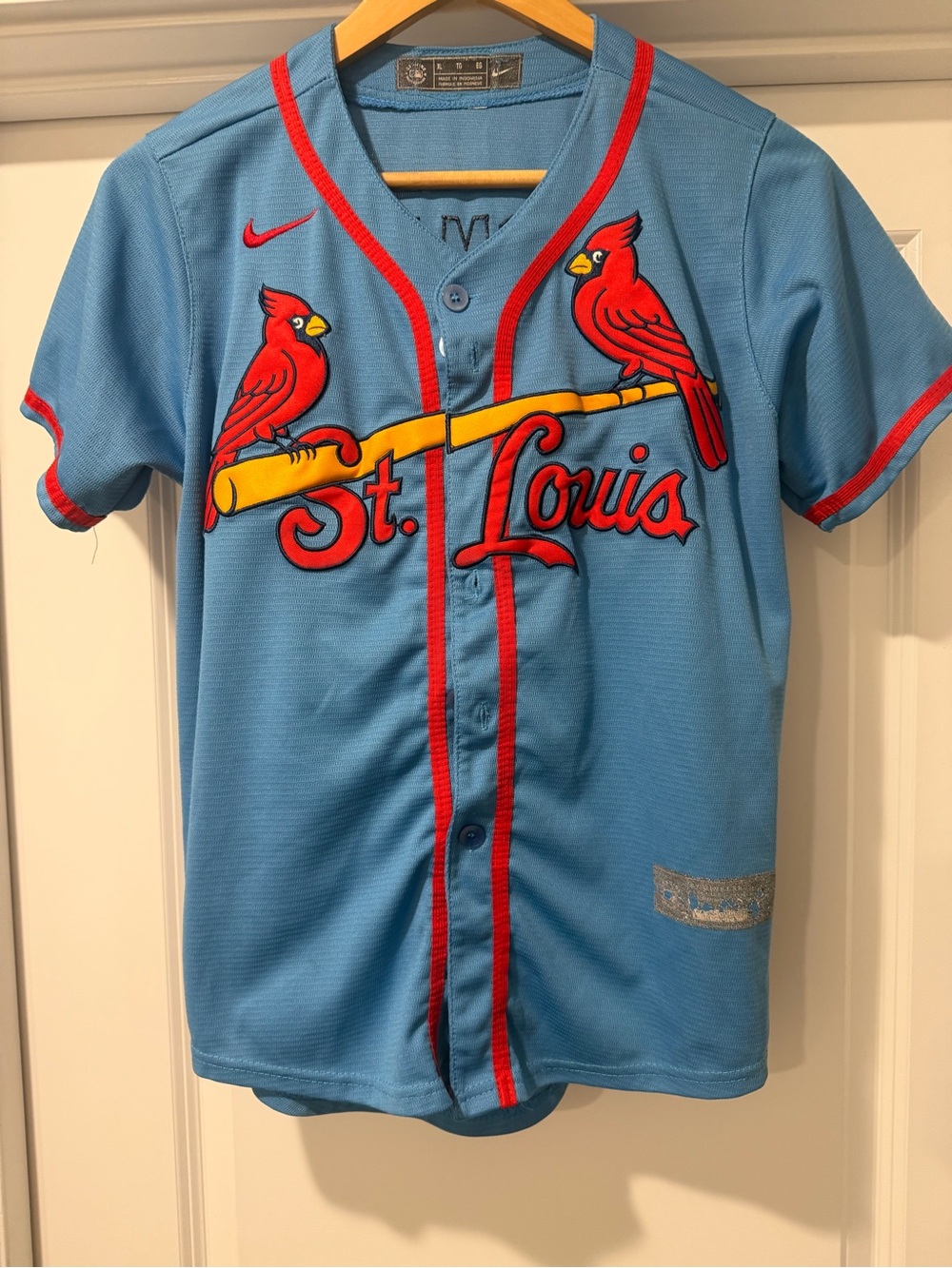 Boys St. Louis Cardinals Youth Light Blue Baseball Jersey - Nike